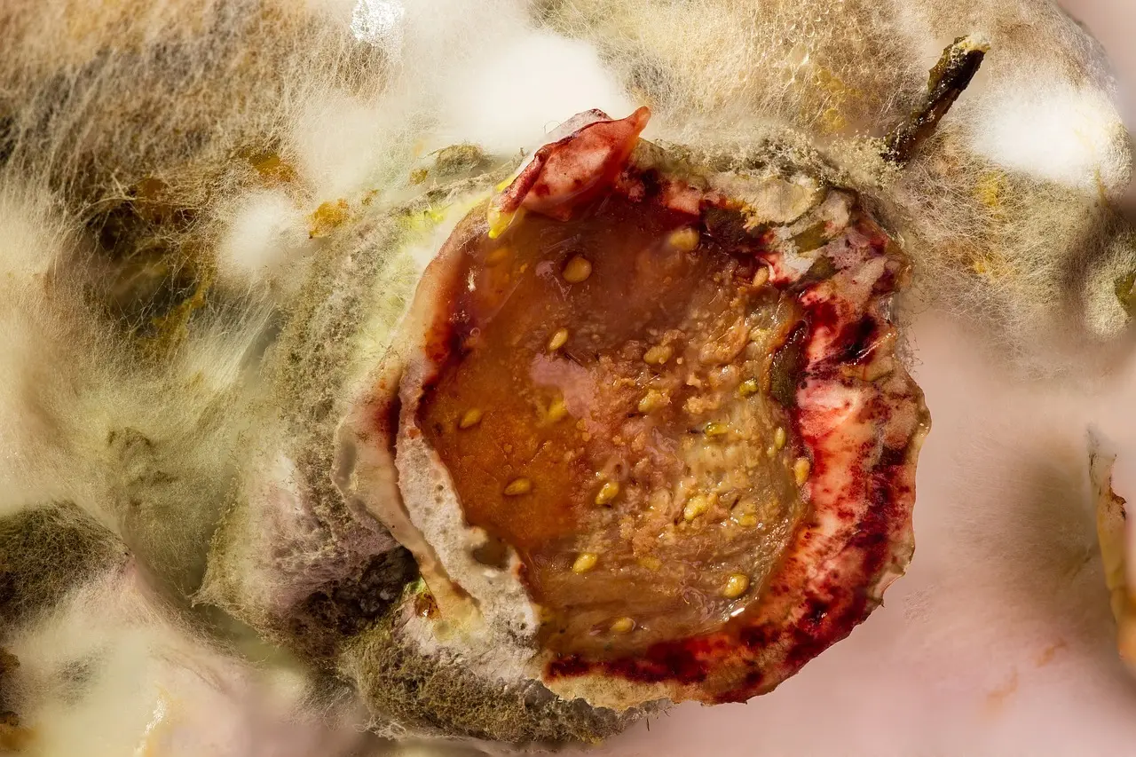 9 typiske fejl ved fugning med silikone - og løsningerne