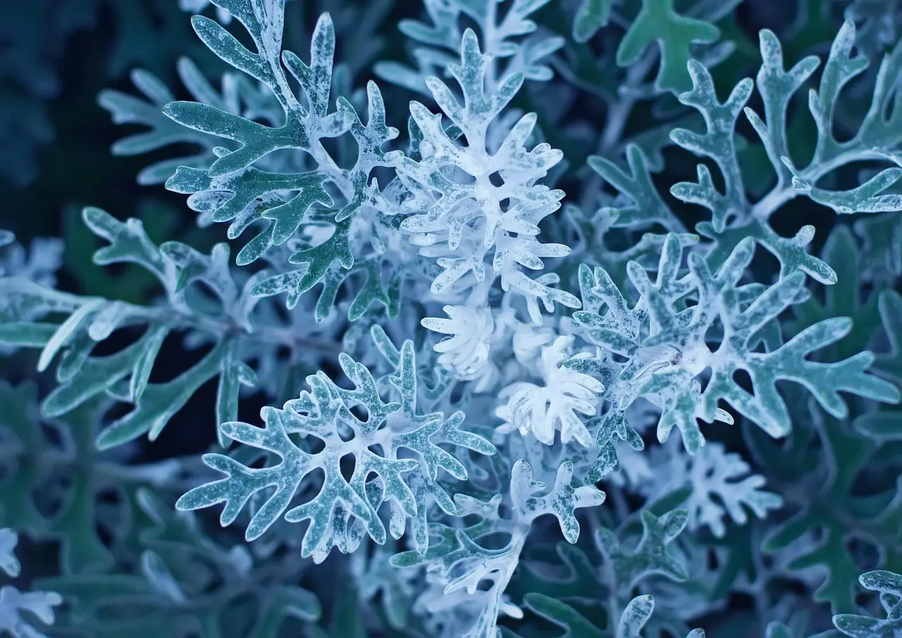 Den bedste rutine til støvfrie radiatorer året rundt