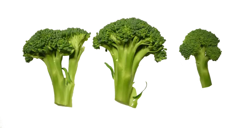 Hvilken kål er sundest? Vi afslører vinderen - og 7 sunde måder at spise den på