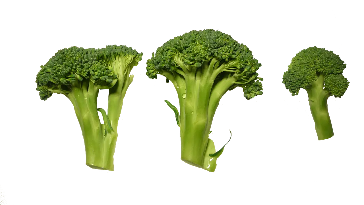 Hvilken kål er sundest? Vi afslører vinderen – og 7 sunde måder at spise den på