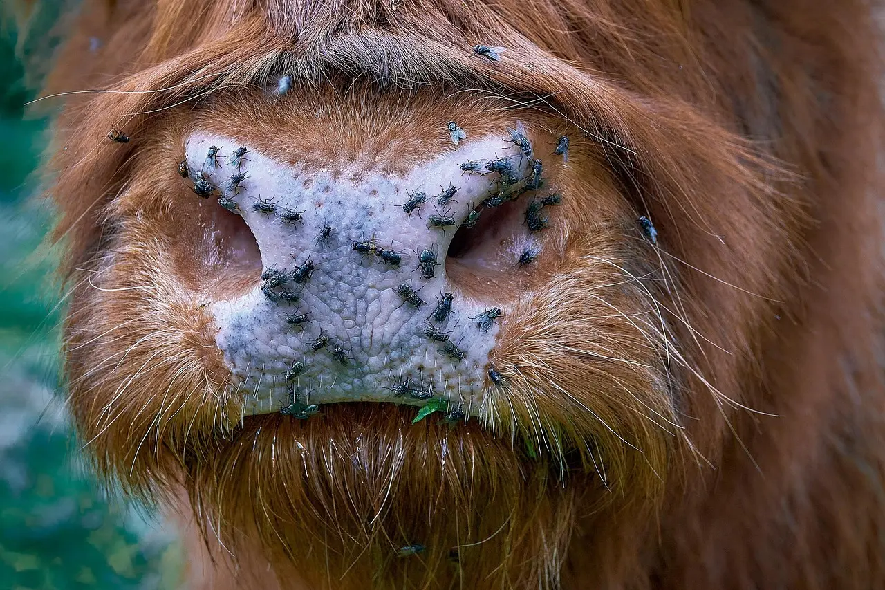 Medvirkende i Twister